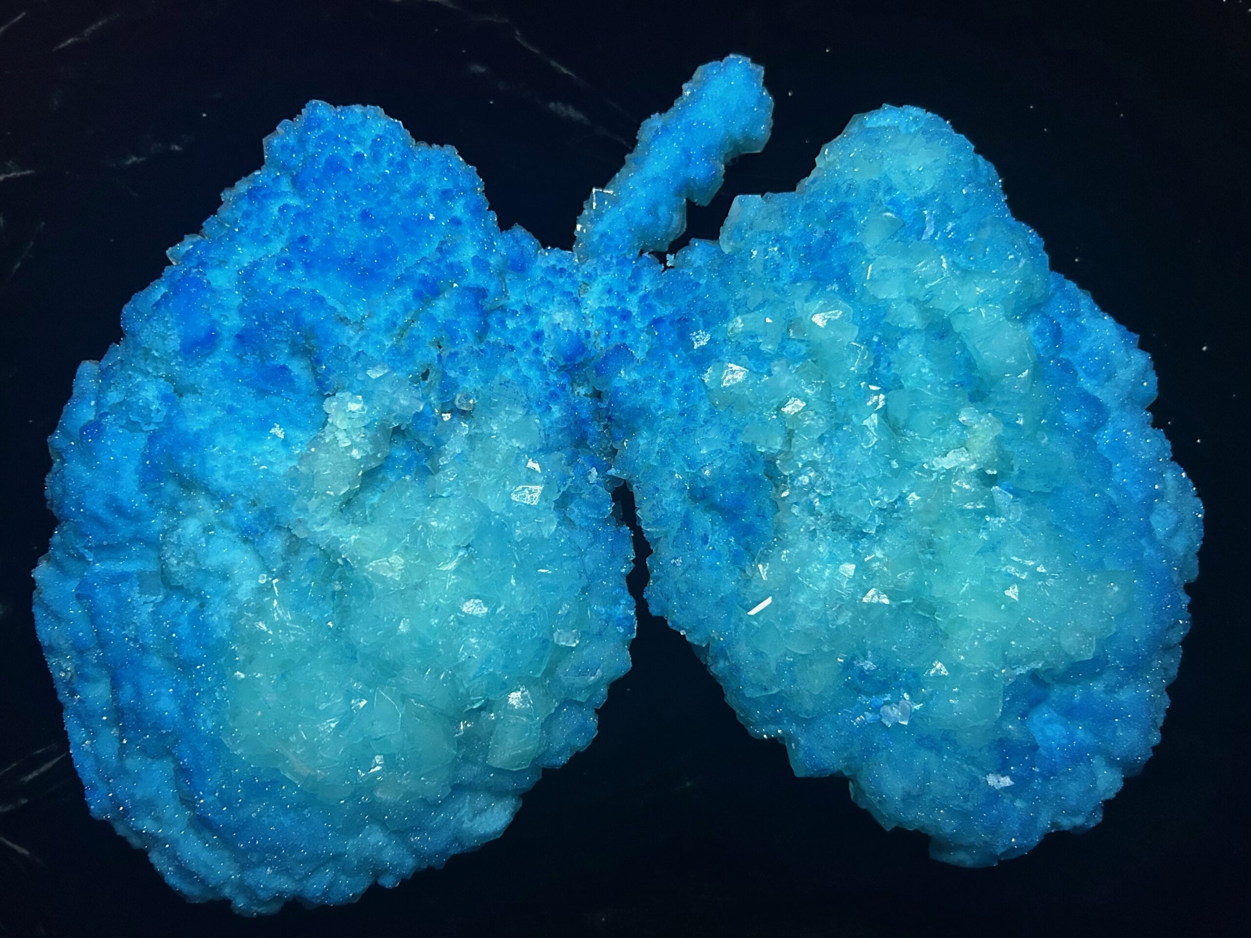 An ombre bright blue lung shaped 3D crystal sculpture on black textured background